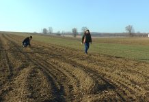 Tavasszal nyit a Dunakanyar szedd magad tulipánkertje