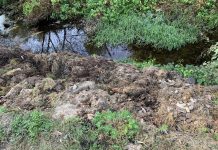 Illegális szemétlerakónak használják a patakot Szokolyán
