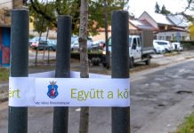 Matkovich Ilona ezer fa ültetésére vonatkozó tervét civil szervezetek és diákok segítségével próbálja megoldani valahogy